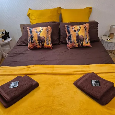 Ferienwohnung Le Sixty Saint Gaudens Zimmer foto